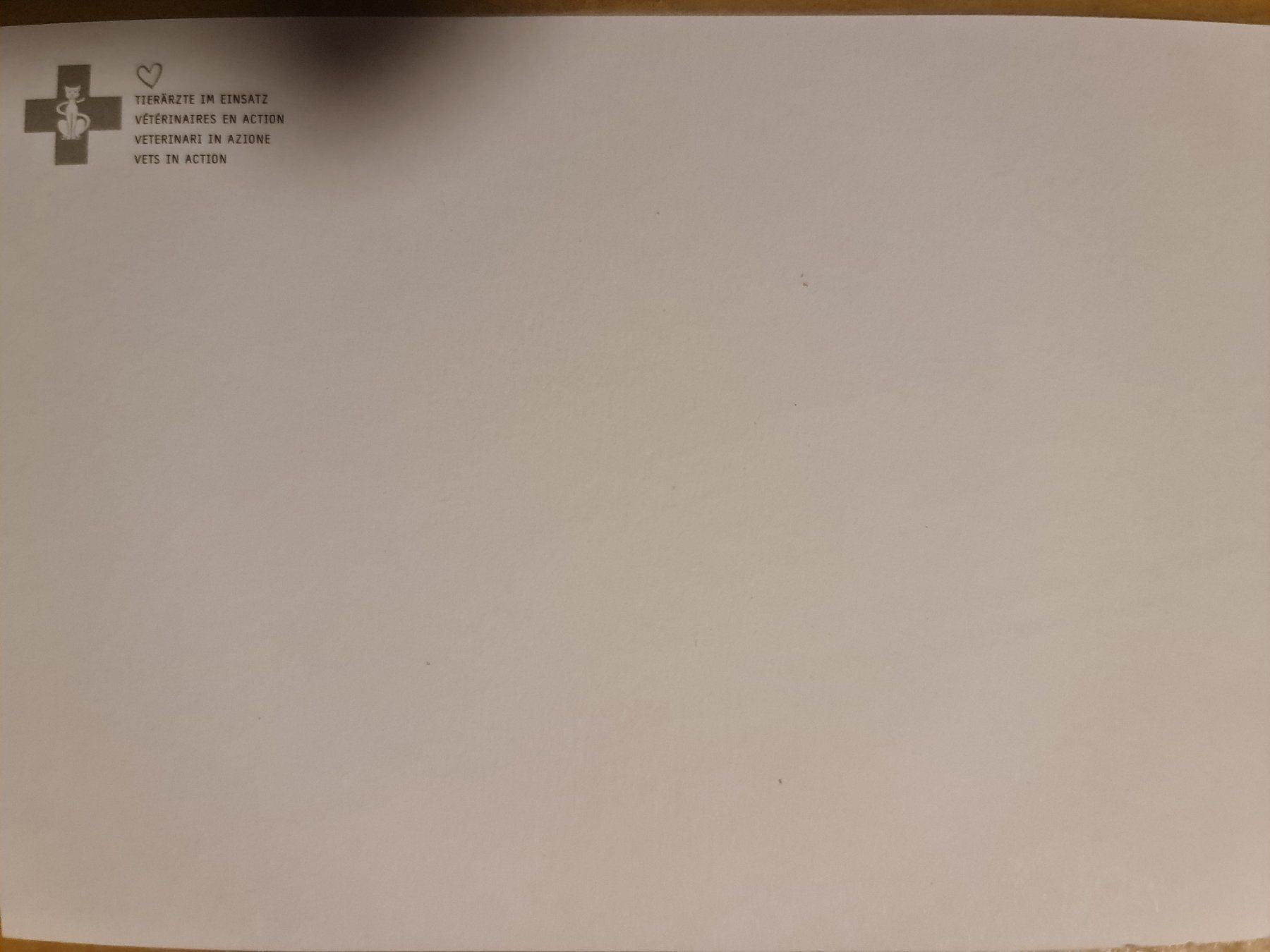 Cartoline postali: Ansichtskarte Katzen – Nuovo (secondo la descrizione) da Dintikon venduto da Vexi 1