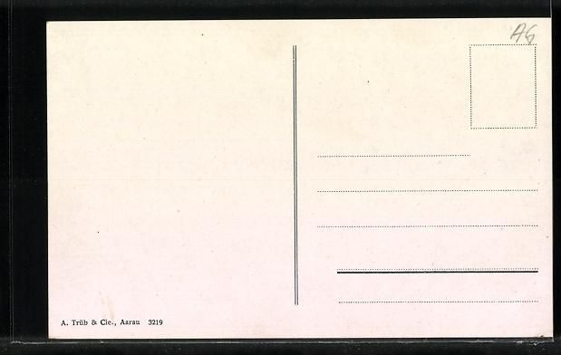Cartoline postali: Gontenschwil /Aargau, Bad Schwarzenberg  – Usato da Berlin venduto da bartko-reher 1