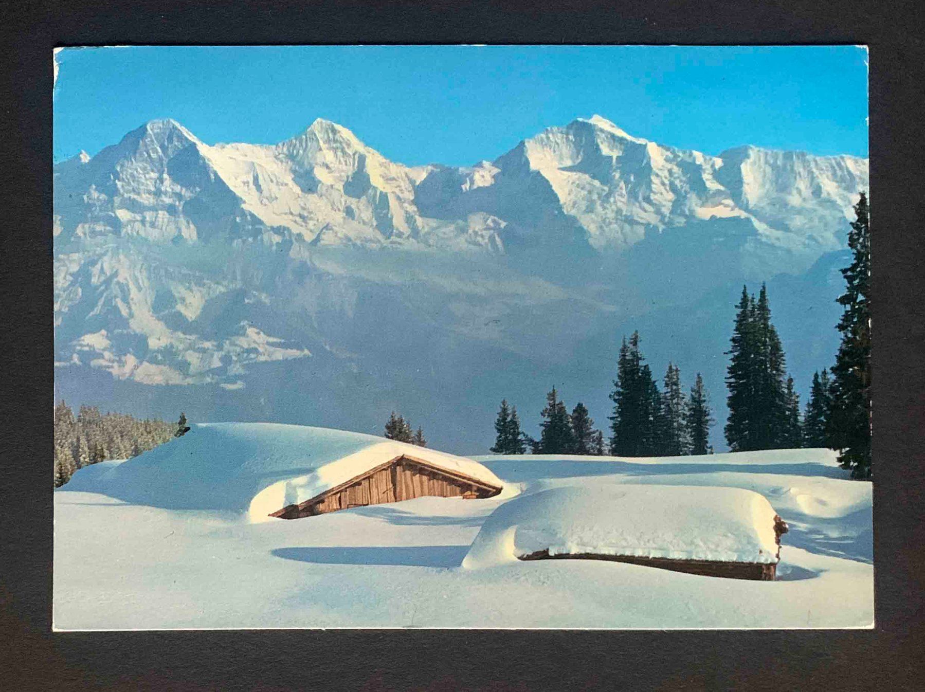 Cartoline postali: AK Eiger Mönch Jungfrau – Usato da Goldau venduto da artelier1