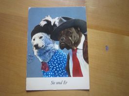No 17 schöne Postkarte Sie und Er