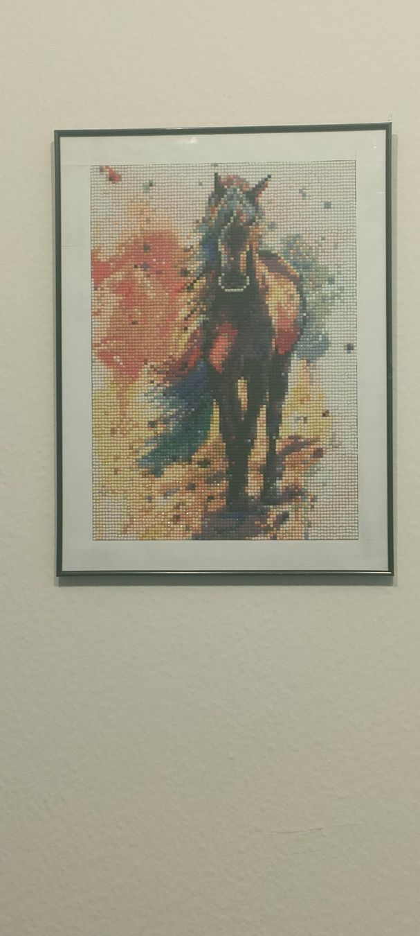 Foto & Immagini: Diamond painting Bild gerahmt – Nuovo (secondo la descrizione) da Mönchaltorf venduto da Icelandichorse 4