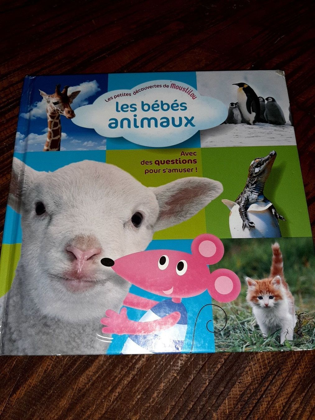 Bücher: Les bébés animaux – Gebraucht aus Le locle von juliensaran