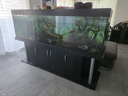 Aquarium mit Unterschrank und Filter