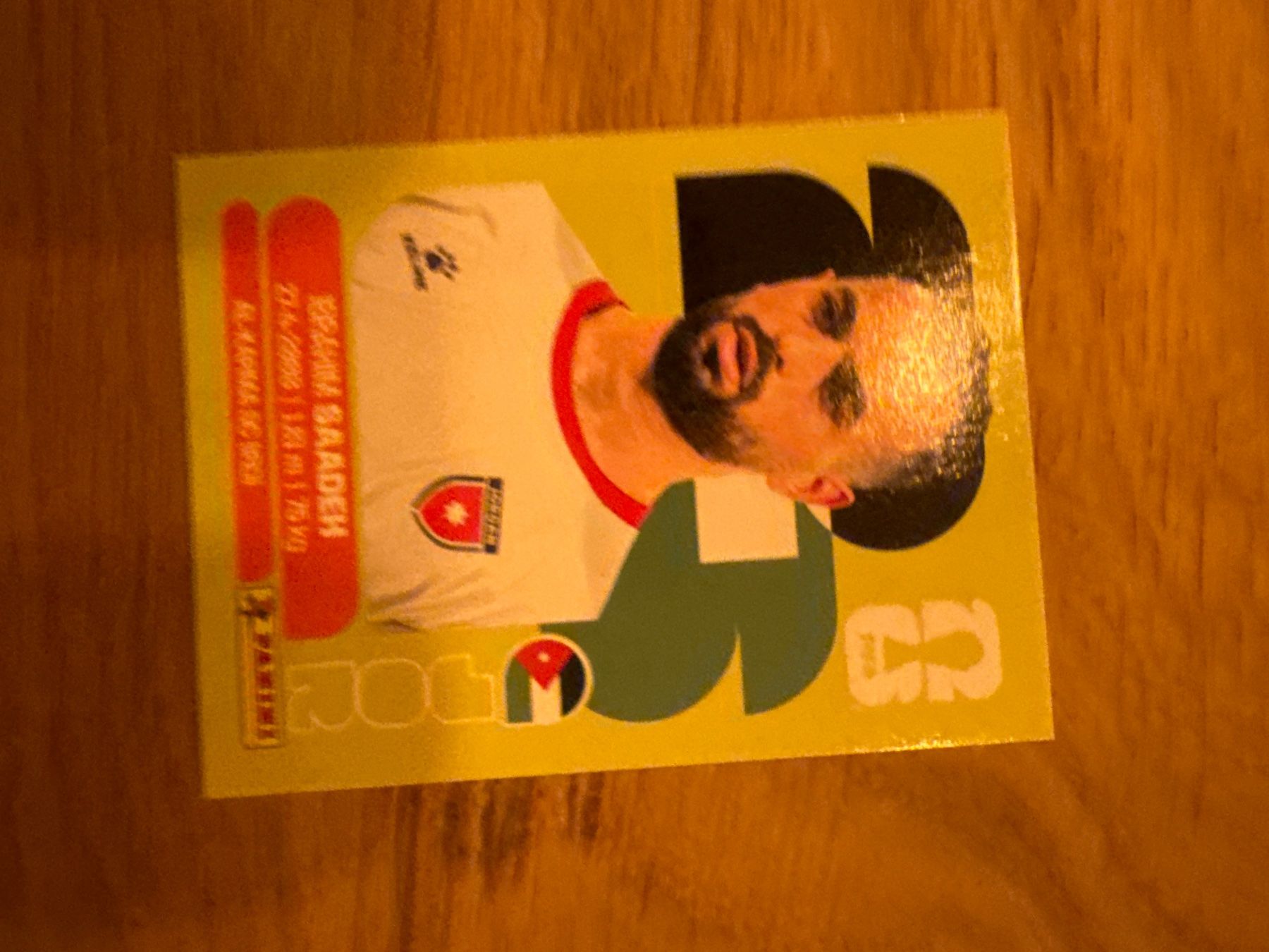 Panini Carte collezionabili: Panini – Usato da Langnau i. E. venduto da Acrjl