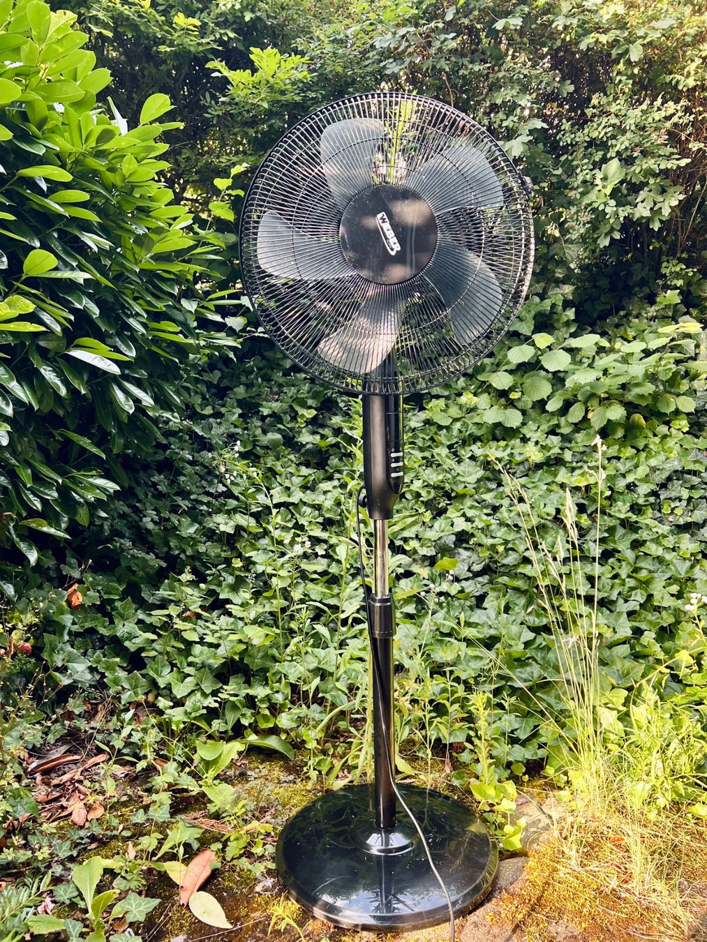 Ventilatoren: Standing Radical Fan – Gebraucht aus Zürich von airmjx