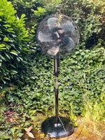 Standing Radical Fan