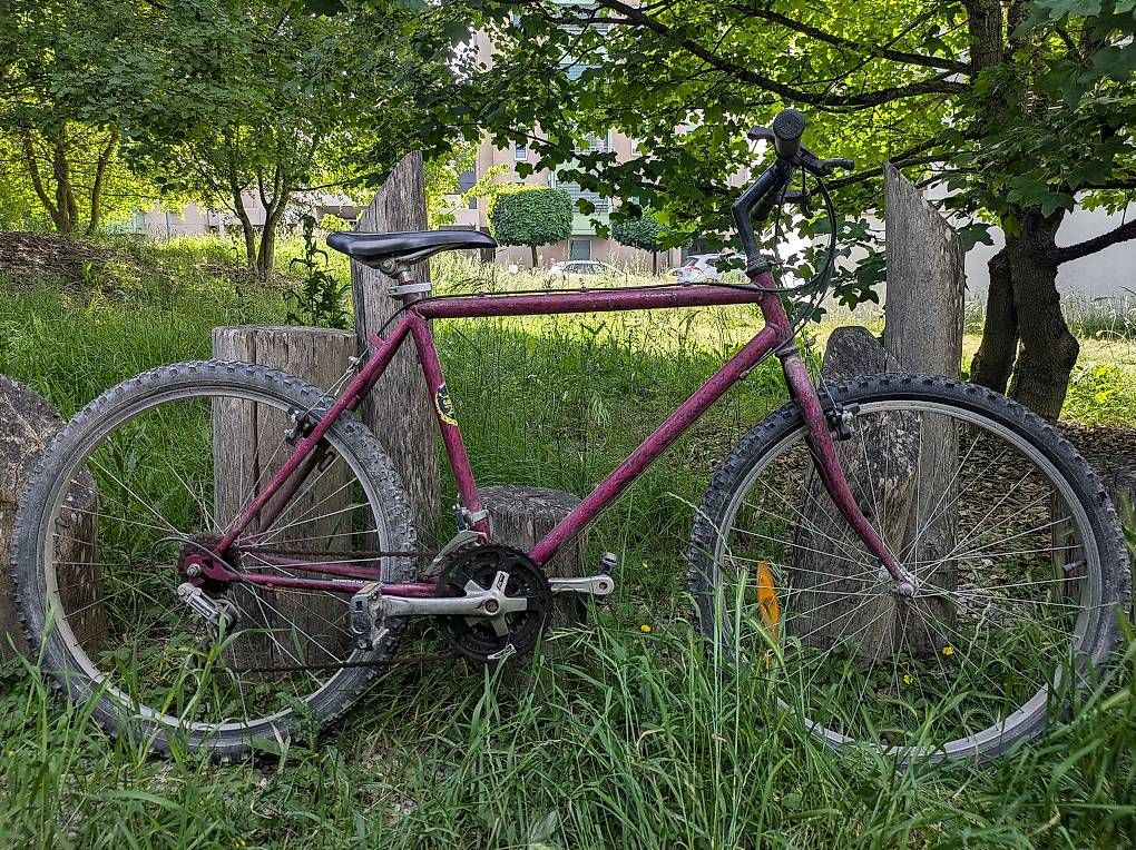Biciclette: VTT  – Usato da Genève venduto da vel_r2wy