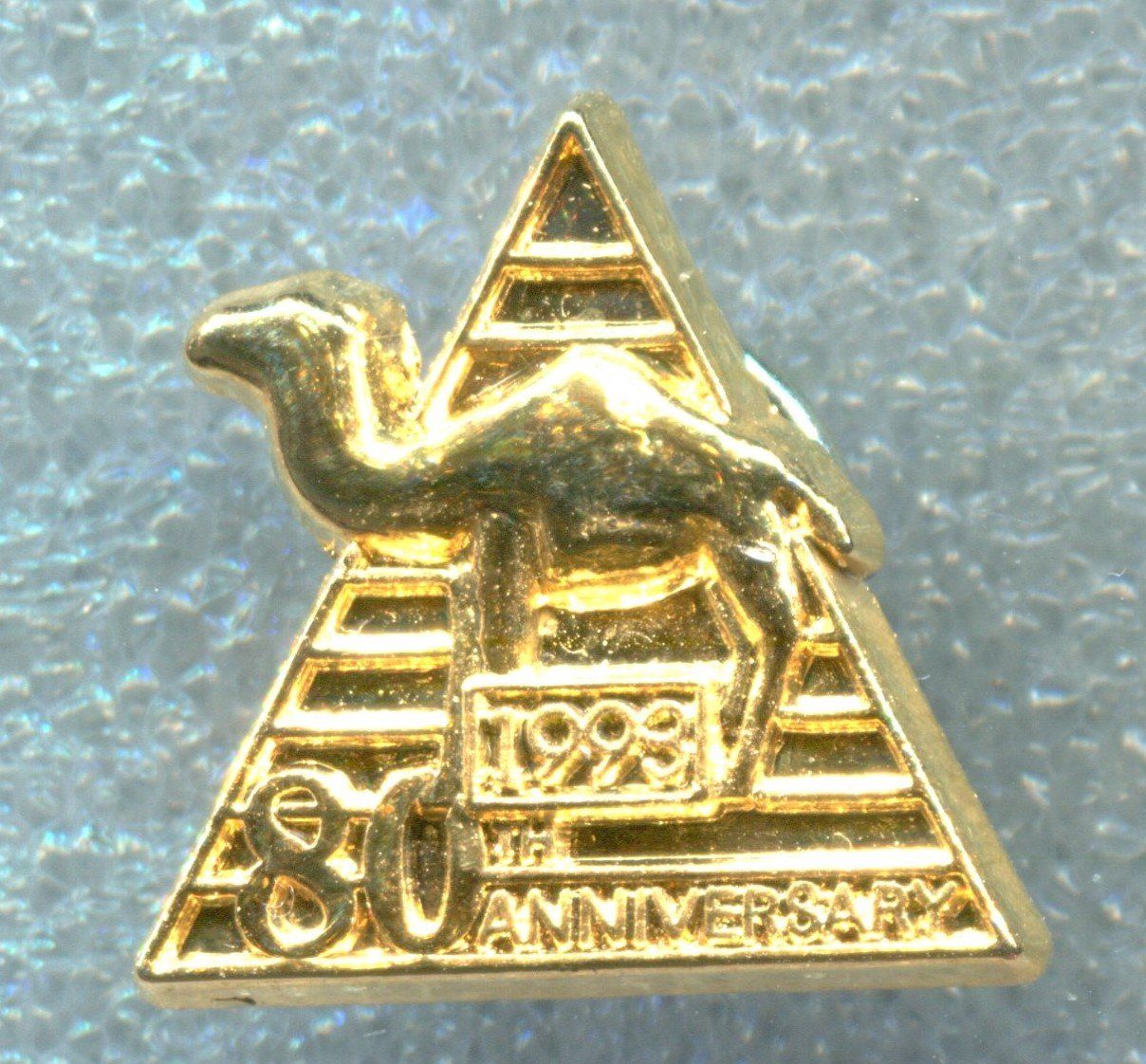 Camel Plaketten & Abzeichen: CAMEL  1993 – Gebraucht aus Winterthur von Sammleroase