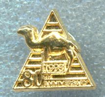 CAMEL  1993