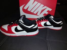 Nike Dunk Low Retro EMB