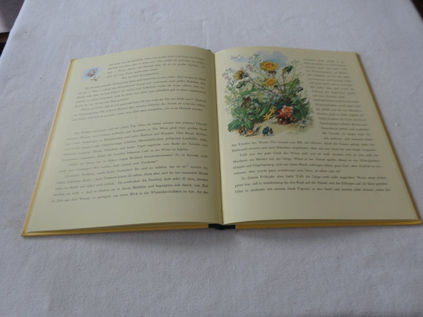 Libri: Gasthaus zur Sonne – Usato da Neerach venduto da jenny062 3