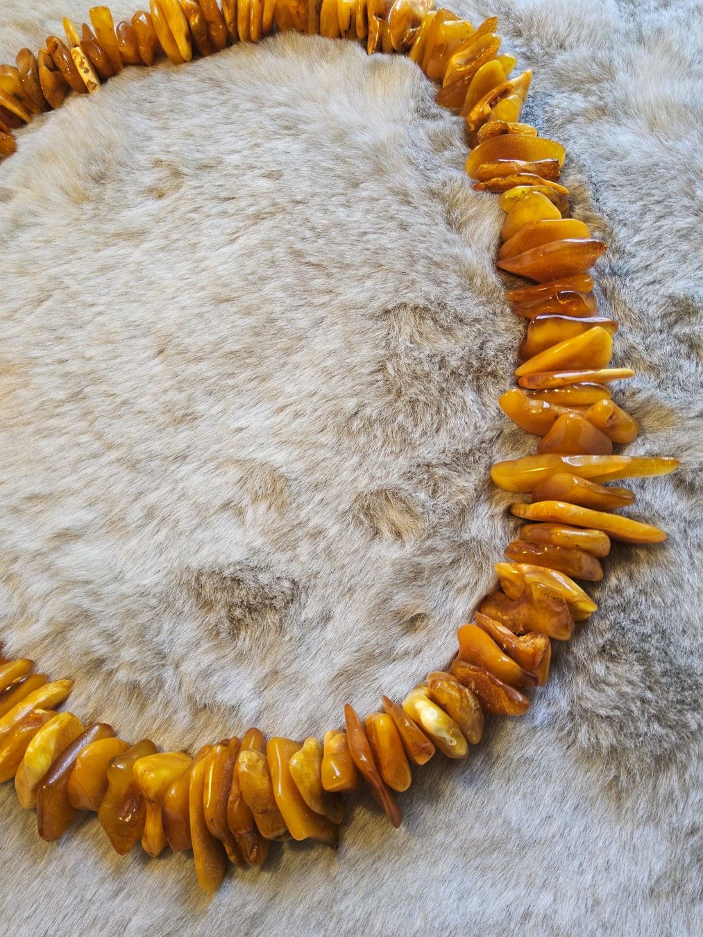 Catenine: Grosse dicke Bernstein Butterscotch Halskette Collier – Usato da Zürich venduto da SciTec 8