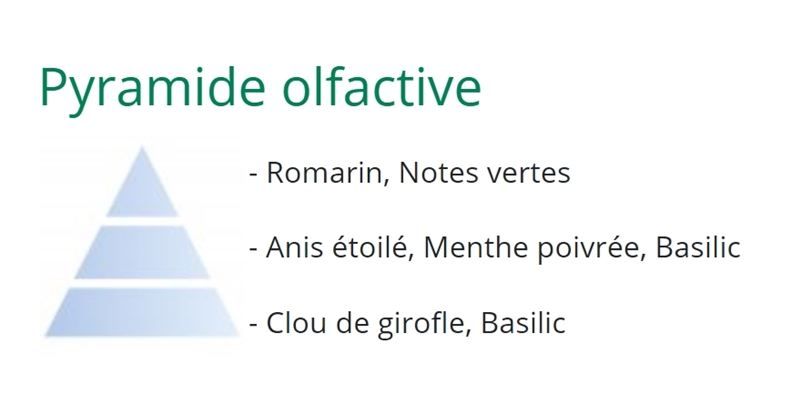 Diffuseurs: Diffusor Nachfüllung Feuilles d'Aromates – Neuf avec emballage d'origine à Wettingen par Swala 3