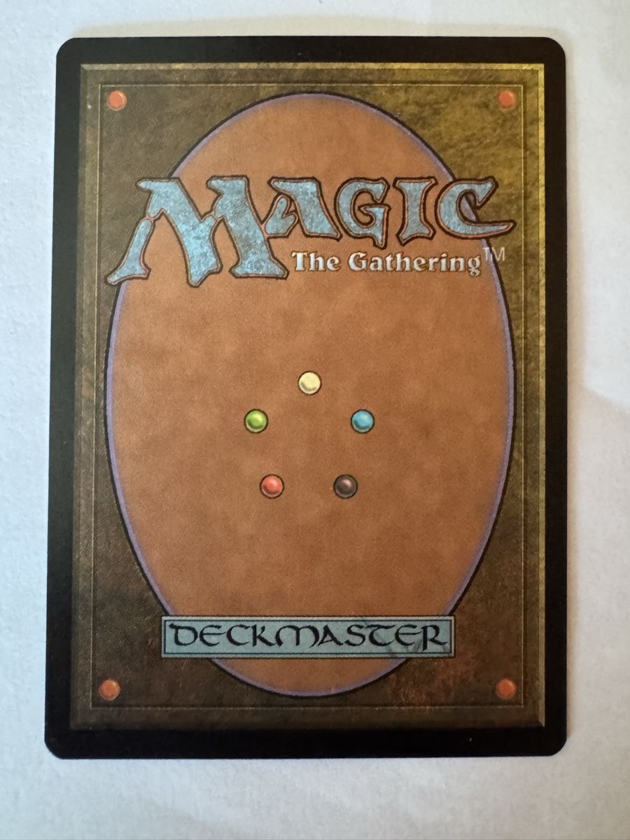 Magic The Gathering Carte collezionabili: MTG Insel Foil 7th Edition John Avon – Usato da Stadel venduto da bewinshop 1