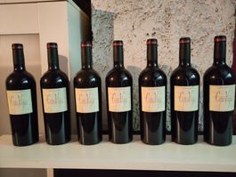 7 FL. "CEPAS VIEJAS" RESERVA 2006