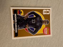 Panini Extra Sticker WM 2026 Moises Caicedo