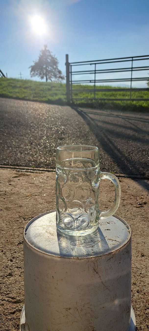 Bicchieri: Bierkrug aus Glas – Usato da Sachseln venduto da Furner94 1