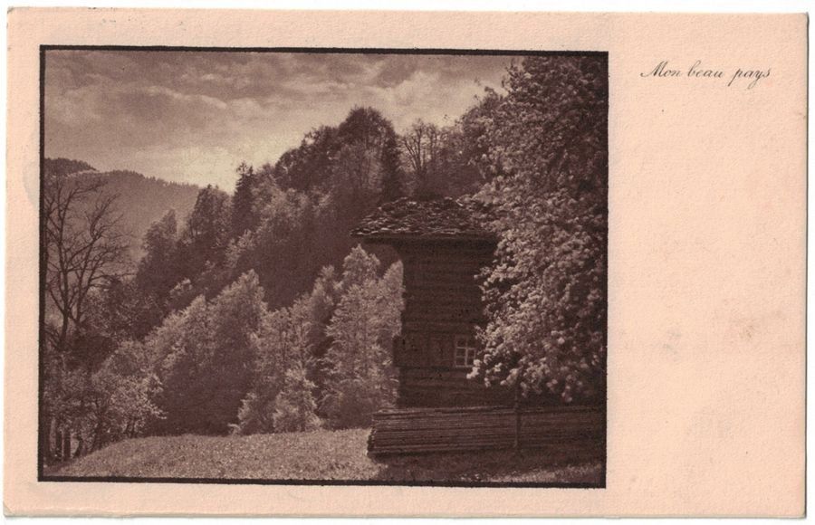 Cartoline postali: Cabane dans la forêt (Mischol), circulée 1919 – Usato da Frauenfeld venduto da POML
