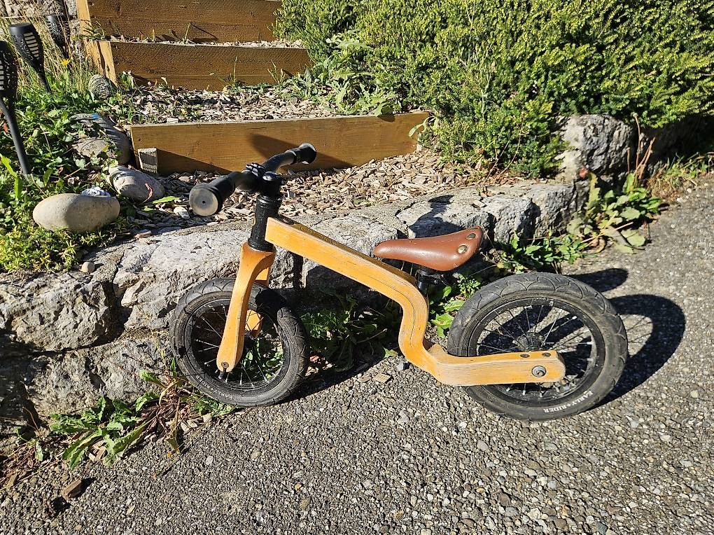 Early Rider Velos: Early Rider Bamboo – Gebraucht aus Günsberg von gix01 1