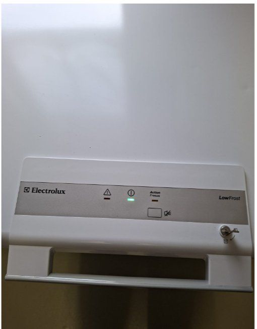 Electrolux Congelatori: Tiefkühler – Usato da Niederhelfenschwil venduto da rtt_t2tn 1