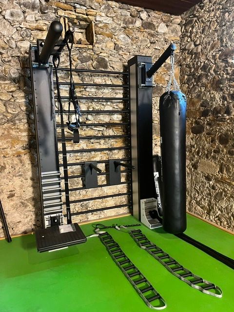 Hometrainer: Functional Training Station Queenax W175 – Usato da Glattfelden venduto da tho_sbf9 1