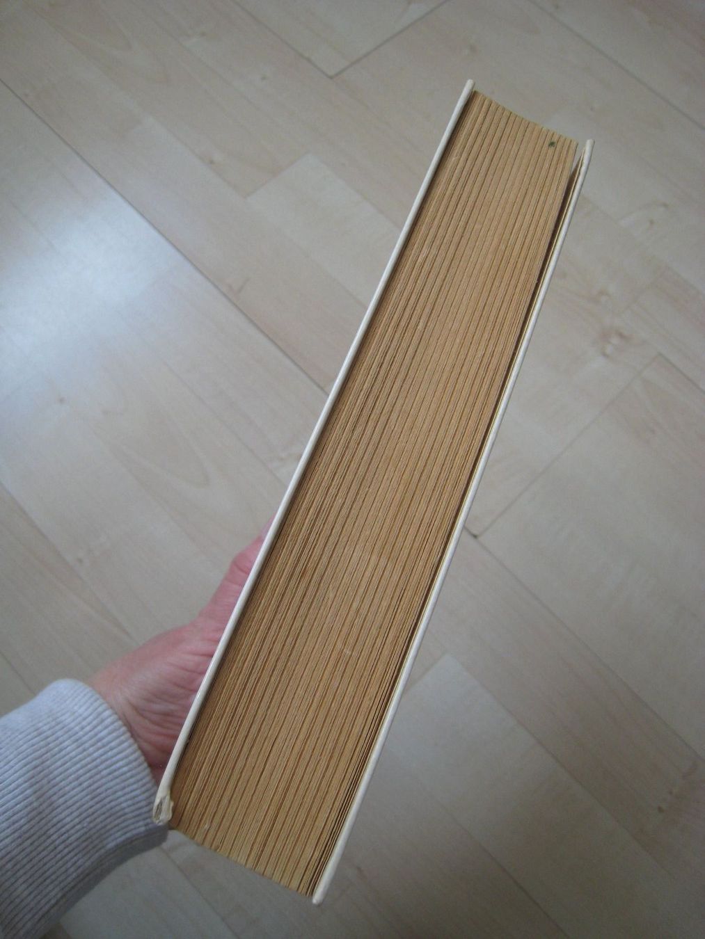 Libri: antikes  HEIDI   Buch Johanna Spyri – Usato da Dättlikon venduto da Mamakuga 2