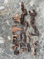 Aquarium Holz