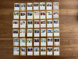 Pokémon, lot de 42 cartes Dresseur / Supporters