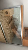 Grosses Nagerterrarium mit Zubehör für Hamster und Co.