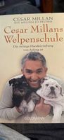 Cesar Millans Welpenschule