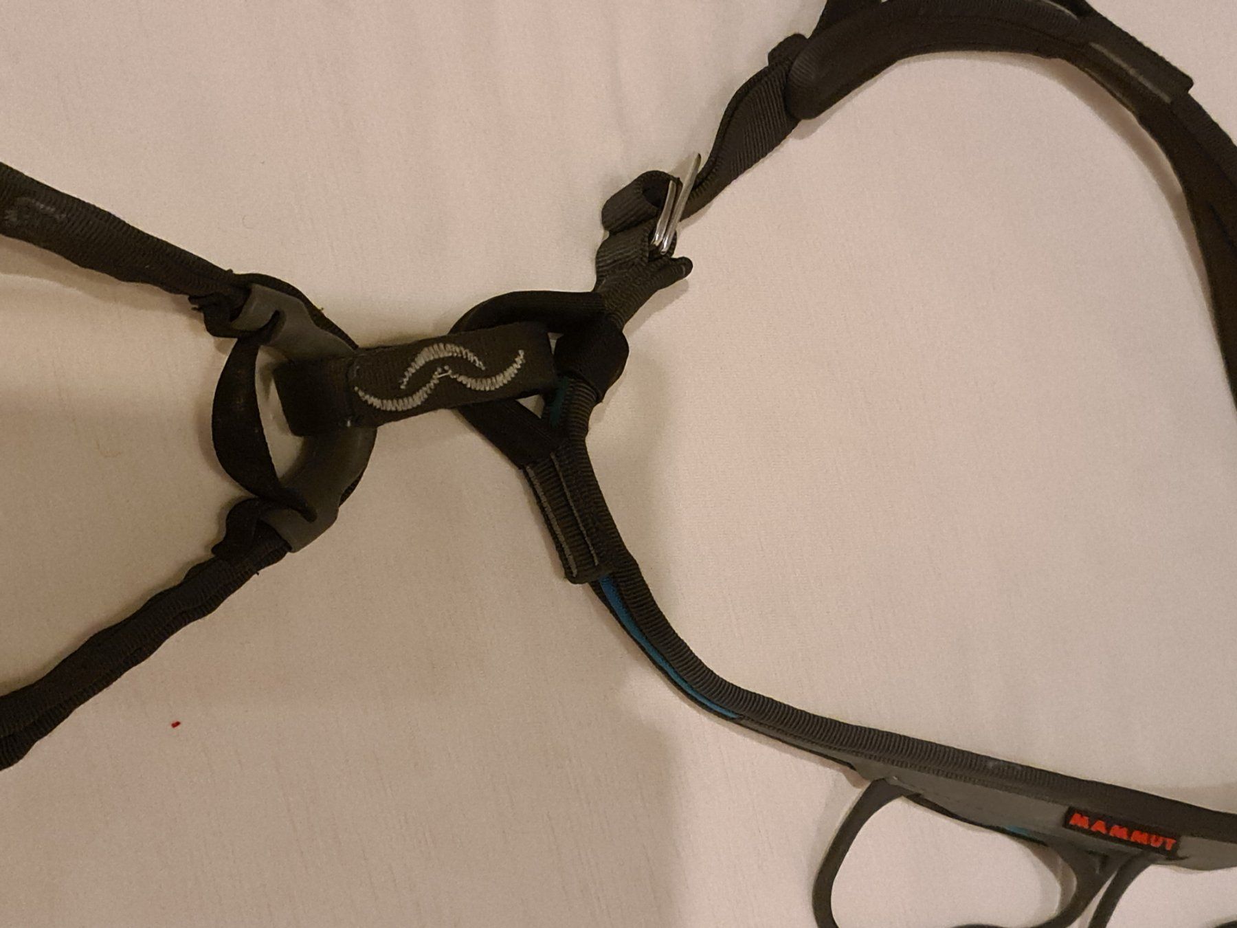 Mammut Attrezzatura da arrampicata: Klettergurt MAMMUT – Usato da Thun venduto da erh_fs86 6