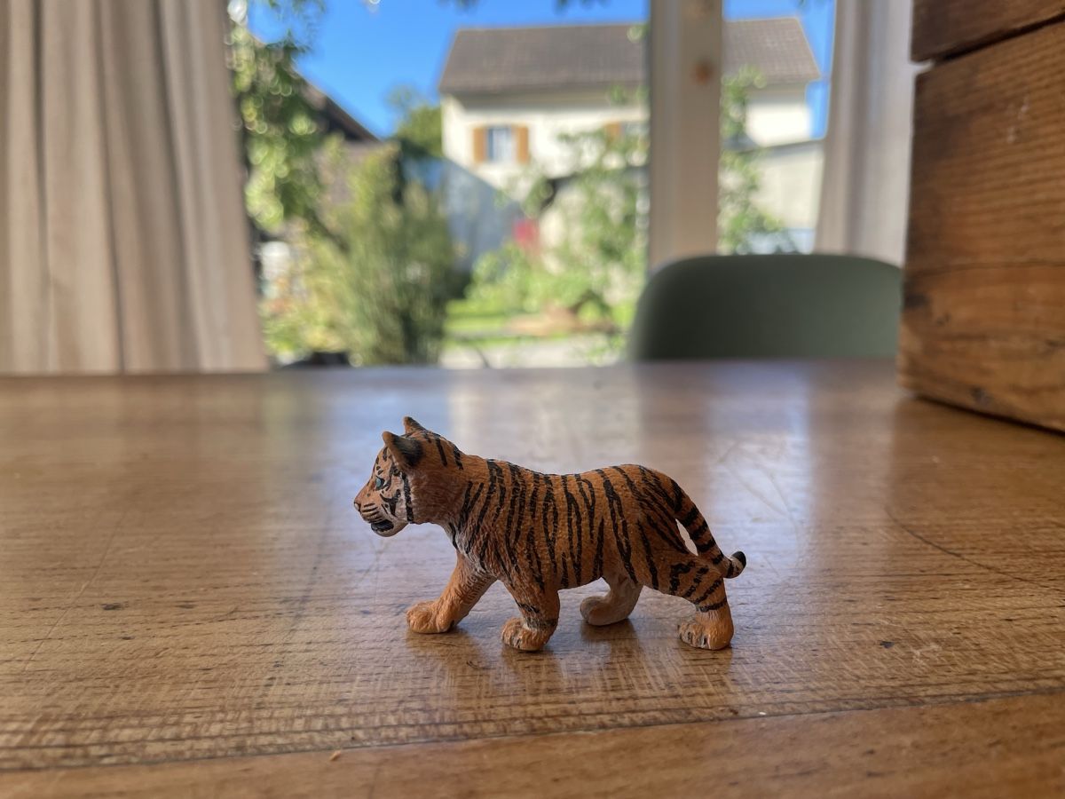 Schleich Giocattoli: Schleich Tiger Baby – Usato da Bonstetten venduto da soleillle 2