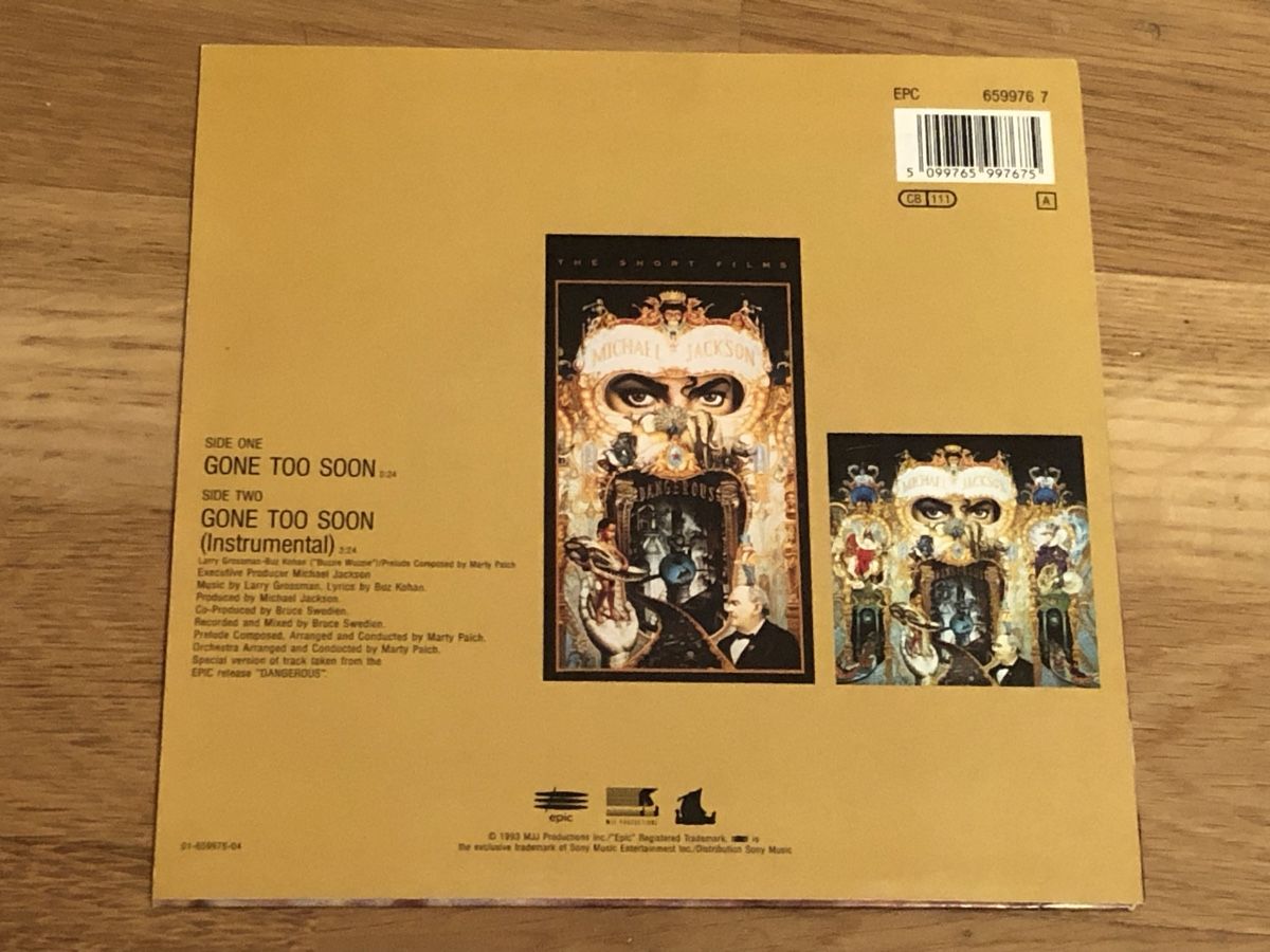 Dischi in vinile: Michael Jackson. 1993. Gone Too Soon – Usato da Faulensee venduto da Mizuno06 1