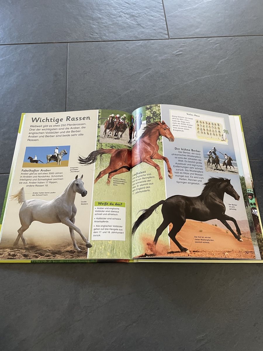 Libri: Buch Pferde und Ponys – Nuovo (secondo la descrizione) da Balgach venduto da sei_s6d7 2