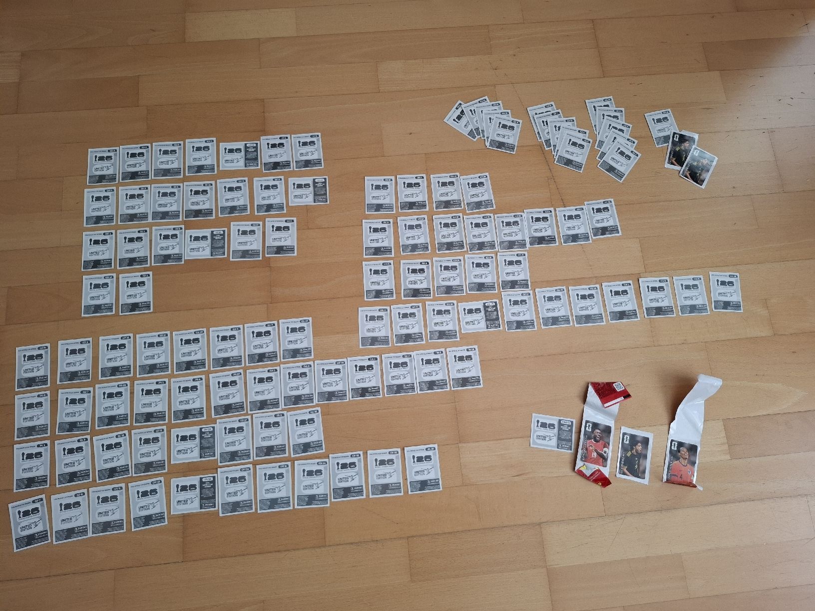 Panini Carte collezionabili: Panini FIFA World Cup 2026 Sticker – Nuovo (secondo la descrizione) da Baar venduto da Jhonny18