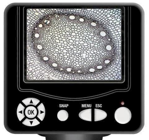 Microscopi: Bresser 8.9cm (3.5") Mikroskop – Nuovo e nell'imballaggio originale da Bottighofen venduto da zaap 1
