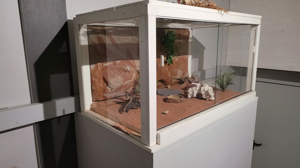 Echsen Terrarium Kaufen auf Ricardo