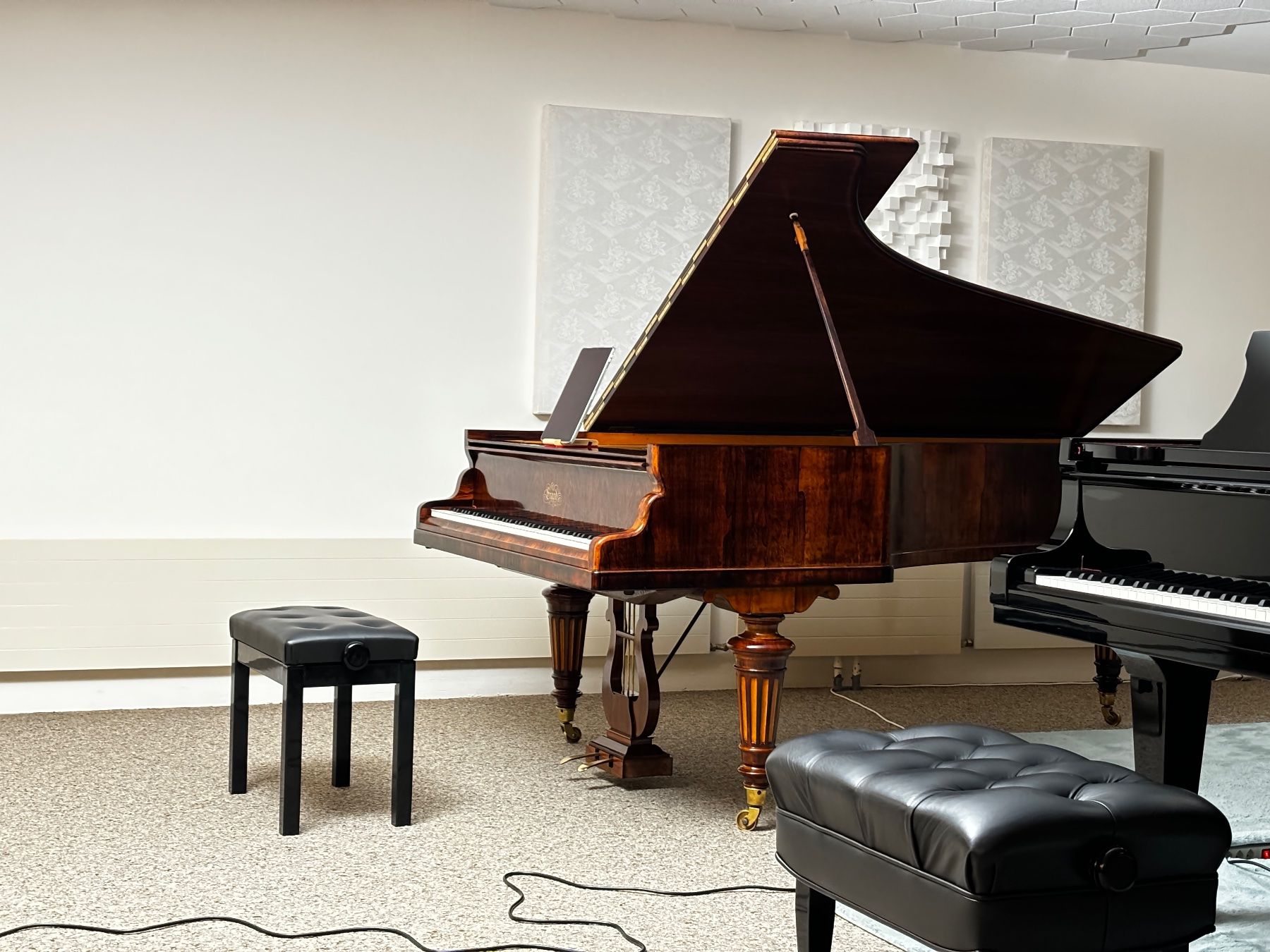 Musikinstrumente: Rare Erard 1876, 2m45 – Gebraucht aus Zürich von horoffra 5
