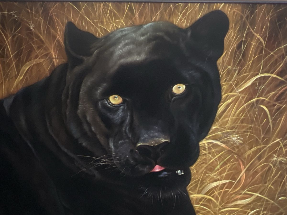 Tableaux: Gemälde schwarzer Panther mit Rahmen von Pine – D'occasion à Uznach par Apuutze 2