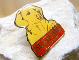 ❗ Hund Golden Retriever chien dog cane  +Versand Pin M11A.19