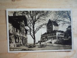 Schloss Uster, 238