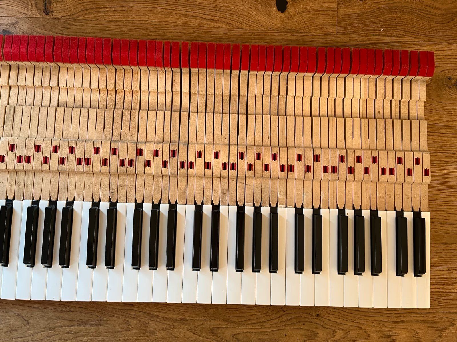 Rhodes Strumenti musicali: Fender Rhodes Mark 1 73 Keys, Tasten – Usato da Villigen venduto da chriwo 3