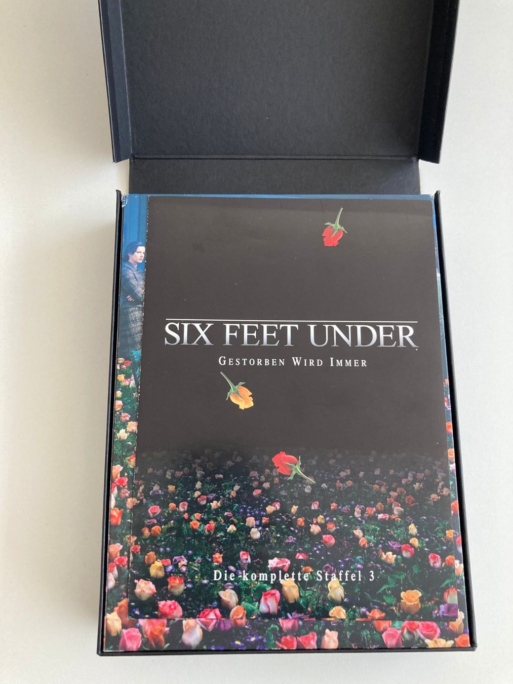 Tutti i DVDs: DVD | SIX FEET UNDER - Staffel 3 – Usato da Basel venduto da Nofretete39 1