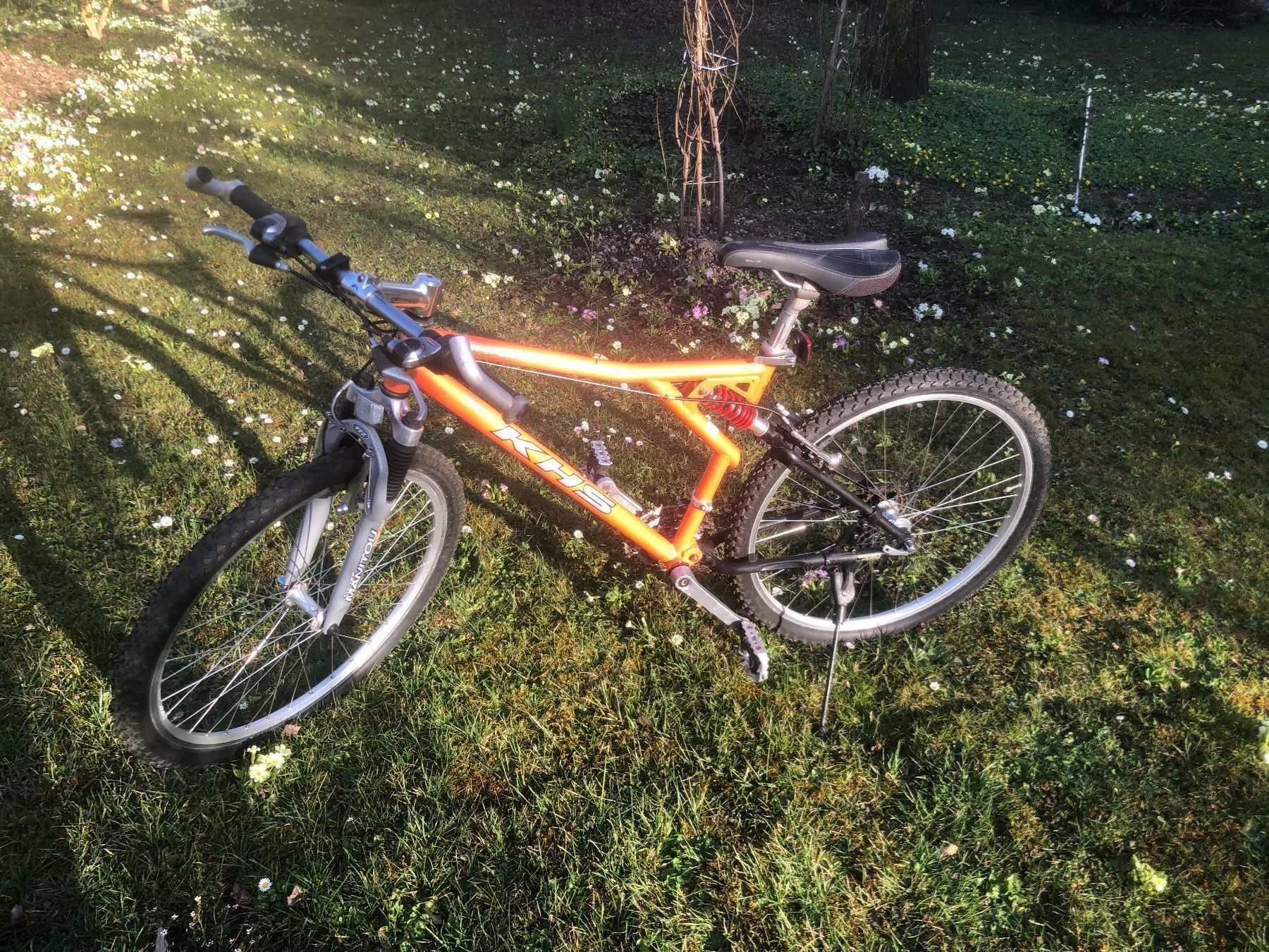 Biciclette: Velo – Usato da Schlieren venduto da Mattis123
