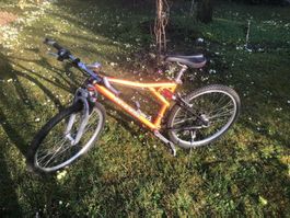 Velo