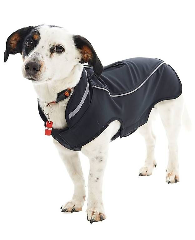 Abbigliamento: Buster Hundemantel, Gr.L – Usato da Eschlikon TG venduto da jemaroe 3
