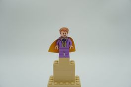 Lego Harry Potter Gilderoy Lockhart - hp243