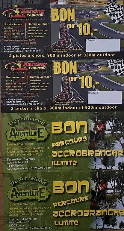 Biglietti: Karting et accrobranche – Nuovo e nell'imballaggio originale da Neuchâtel venduto da zib_lzs8 1