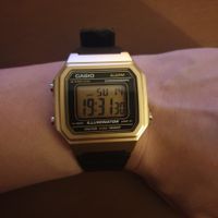 Casio Collection Armbanduhr, schwarz/gelbgold