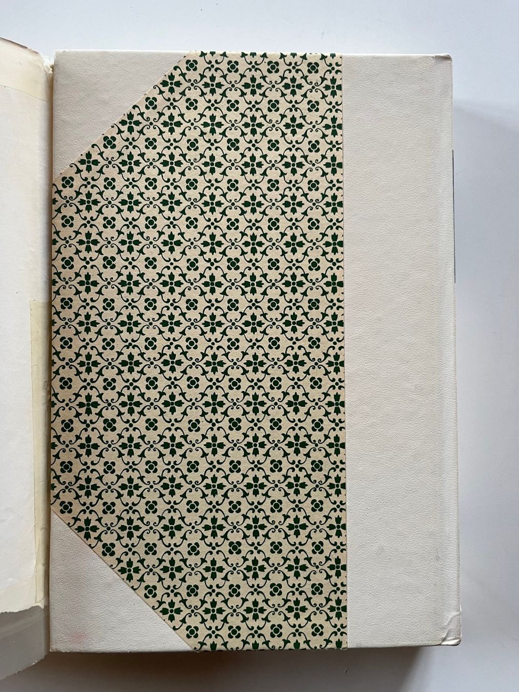 Bücher: Fungi Tridentini Giacomo Bresadola – Gebraucht aus Laufen von Nuria44 6